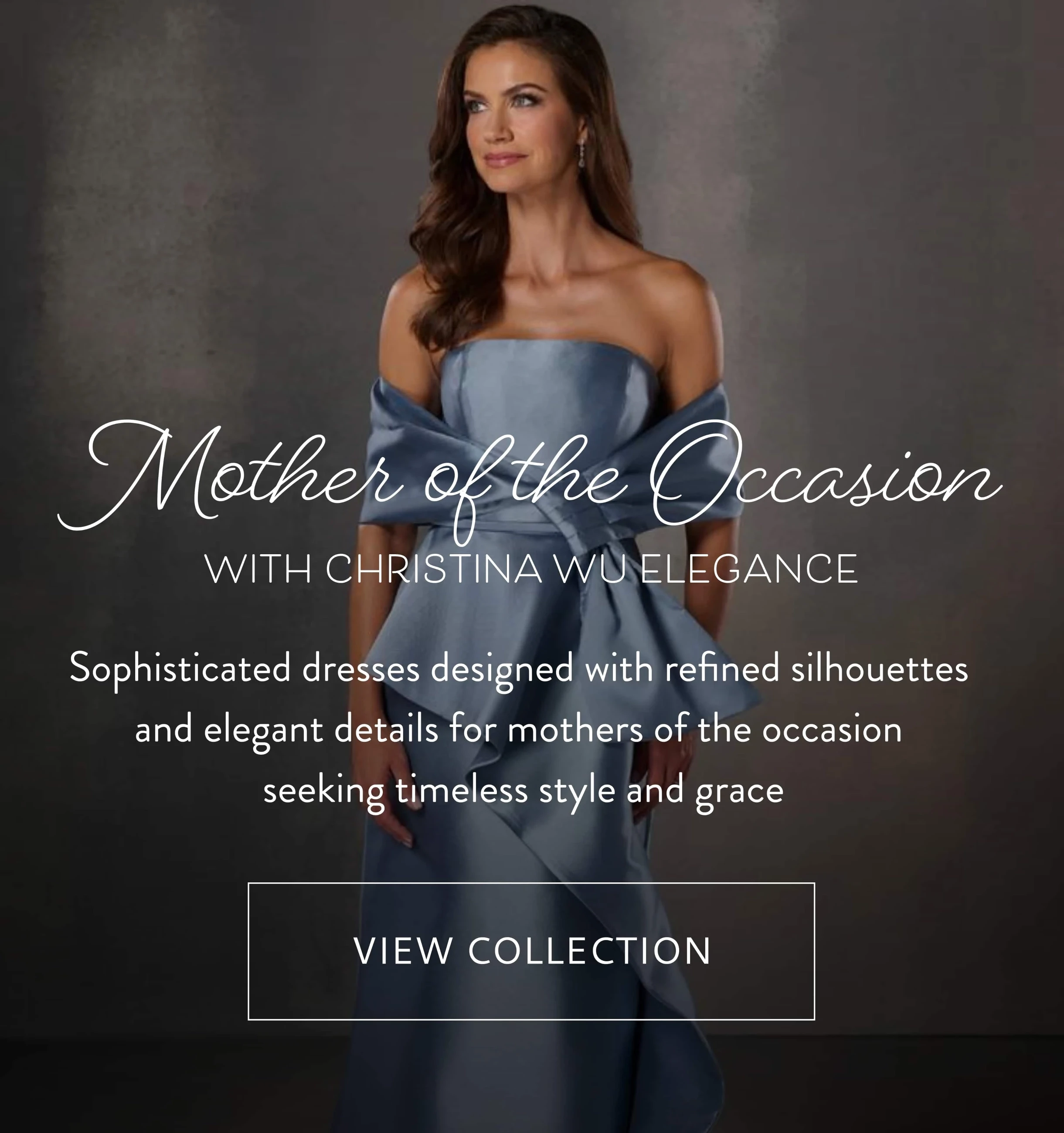 Mother of the Occasion Banner